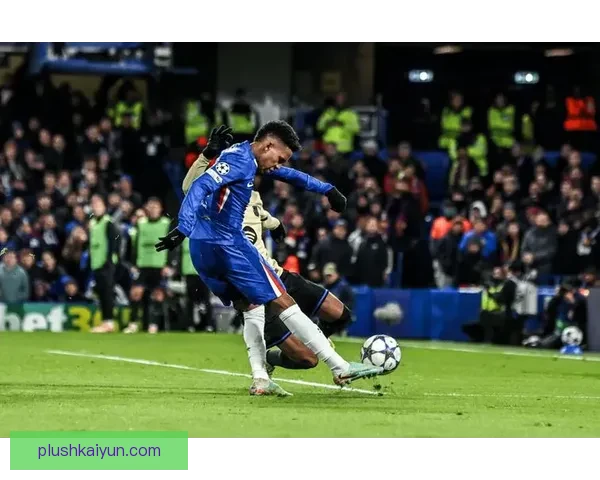 纽卡斯尔冲击欧冠资格：联赛后期表现备受关注