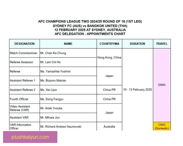2024年欧洲杯裁判名单公布，顶级裁判将确保赛事公正与精彩表演